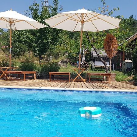 Къща за гости Каза Роза - Swiss Style Chalet Casa Rosa Guest House Кюстендил Екстериор снимка