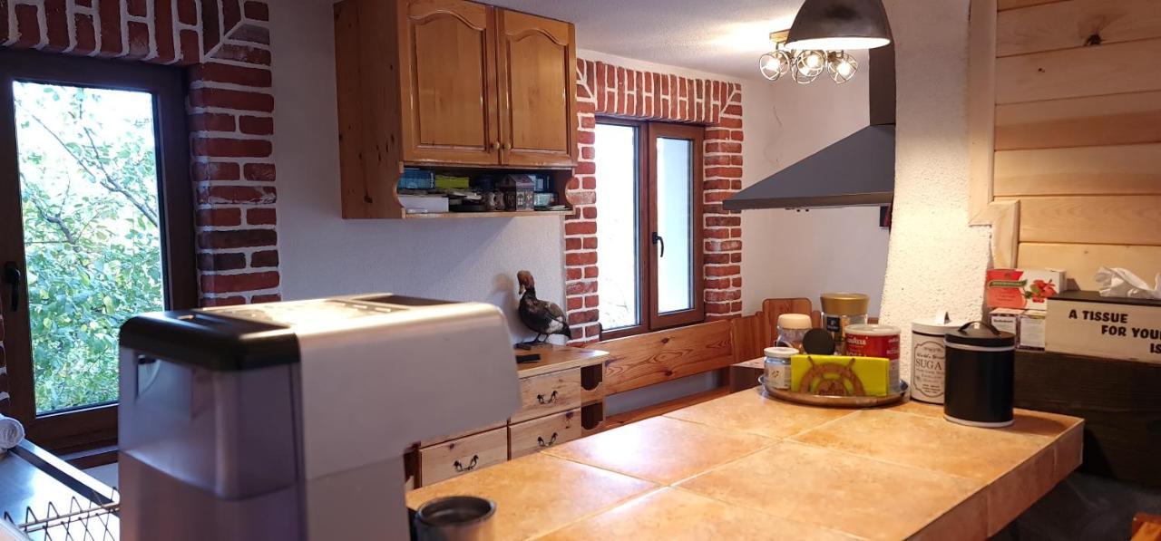 Къща за гости Каза Роза - Swiss Style Chalet Casa Rosa Guest House Кюстендил Екстериор снимка