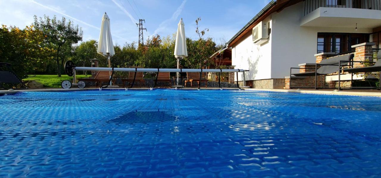 Къща за гости Каза Роза - Swiss Style Chalet Casa Rosa Guest House Кюстендил Екстериор снимка